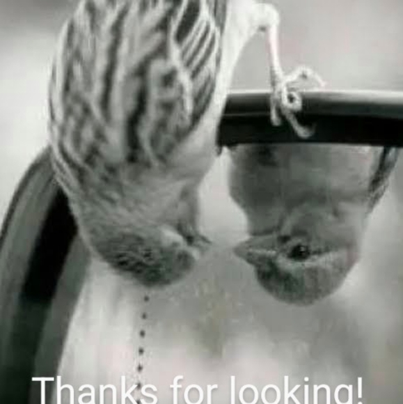 Johnny Was 3J Workshop Embroidered Bohemian Peasant Blouse Size Medium Blue - Picture 14 of 14